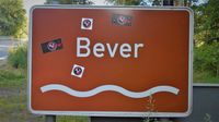 Bever_2021_ (1)